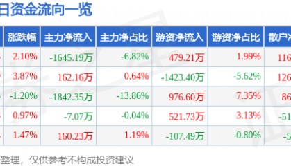 股票行情快报：京能电力（600578）10月10日主力资金净卖出1645.19万元