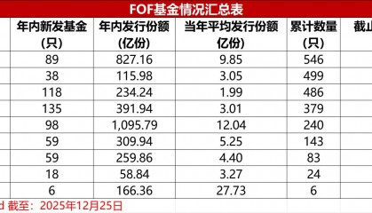 fof基金(fof基金排名榜)