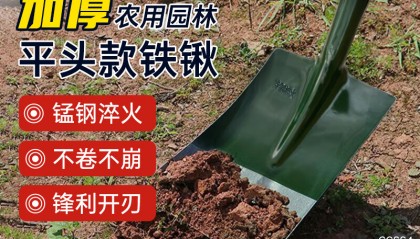 GDEX(光的二象性)