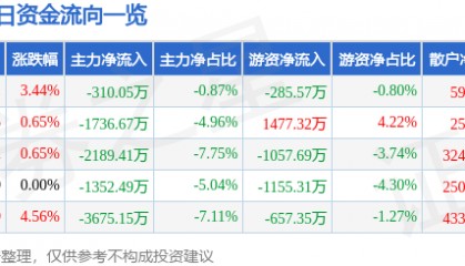京能电力（600578）10月21日主力资金净卖出310.05万元