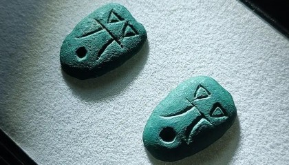 蚁币(蚁币图片及价格表)