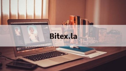 关于Bitex.la的信息