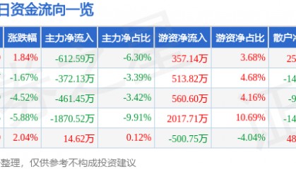 股票行情快报：华宇软件（300271）3月5日主力资金净卖出612.59万元