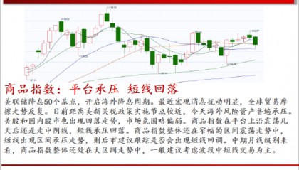 中天期货：商品指数平台承压短线回落 原油反弹停顿