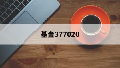 基金377020(基金377020内需动力历史分红)