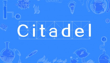 CITEX(CITE西黛属于什么档次)