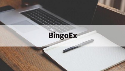 BingoEx(bingoex交易所排名)