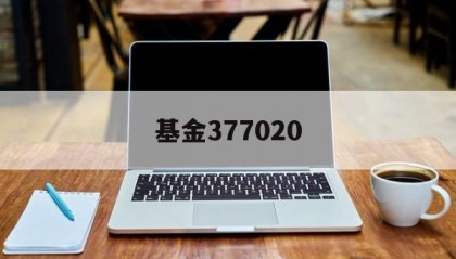 基金377020(377020最新分红情况)