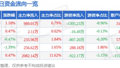 股票行情快报：京能电力（600578）8月5日主力资金净买入989.01万元