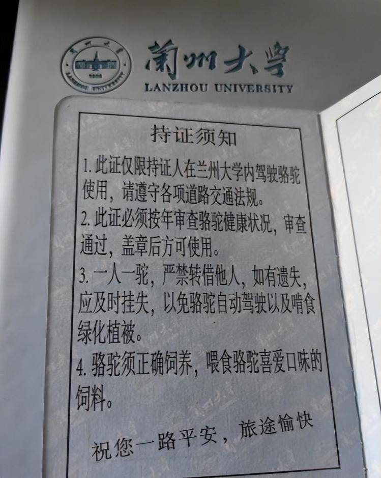 一人一驼，骆驼尾气排放超标要扣分？兰大回应学生持证骑骆驼上学：骆驼驾驶证为学校文创，非官方证件