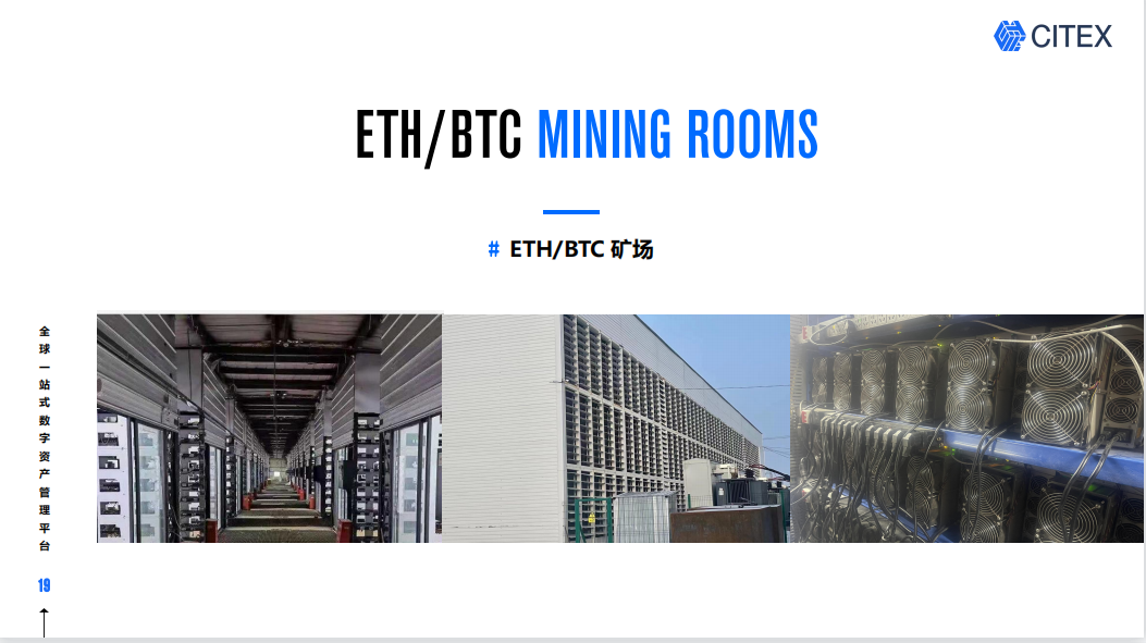 CITEX(CITE西黛属于什么档次)