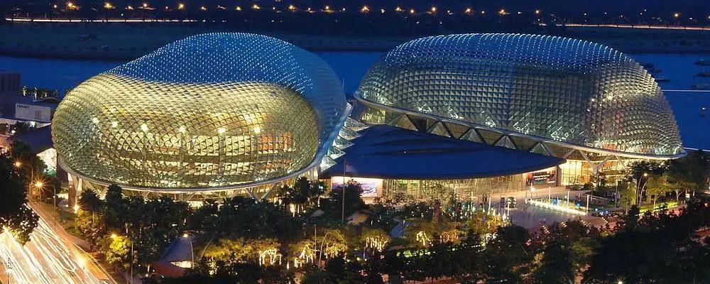 新币全球站(新币全球站下载)