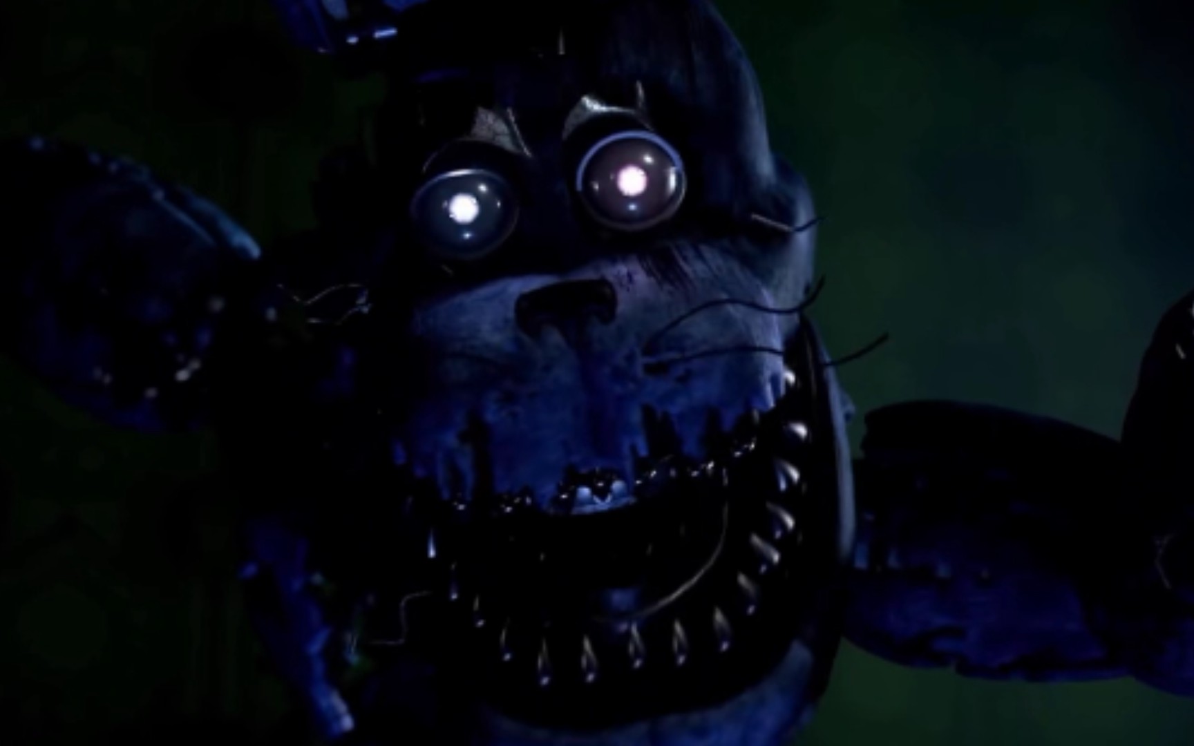 邦尼(邦尼商城官网)