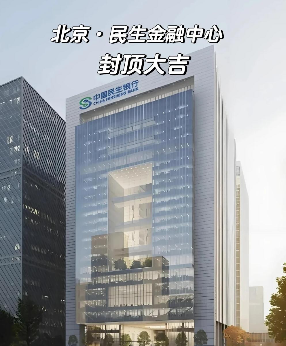 民生加银基金(民生加银基金2025年营收567亿)