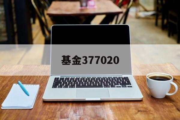 基金377020(377020最新分红情况)